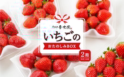 t ̂̂BOX 2 y2025N12 oח\z   C`S ʕ  ʎ t[c XC[c fU[g Hi ܂ gق  ݂̂ Ђ ̂