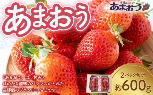 千年いちご あまおうイチゴ (300g×2パック) 1月お届け あまおう いちご イチゴ 苺 フルーツ 果物 冷蔵  福岡県 うきは市 【2026年1月より順次発送予定】福岡県うきは市13000果物・フルーツいち