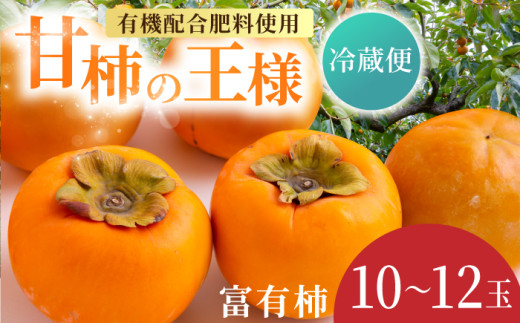 【先行予約】有機配合肥料使用 冷蔵富有柿 10玉から12玉 2025年12月中旬から2026年1月下旬 出荷予定【春光園】 柿 かき 甘柿 甘い 果物 フルーツ福岡県うきは市11000果物・フルーツその他 果物