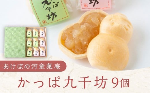 あけぼの河童菓庵 最中かっぱ九千坊 9個 (白つぶ餡) 和菓子 お菓子 モナカ 最中 つぶ餡 常温 福岡県 うきは市福岡県うきは市9000菓子・スイーツその他 和菓子