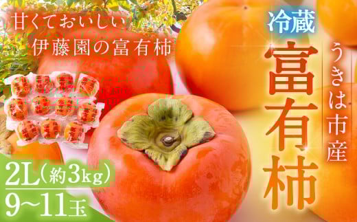 【先行予約】伊藤園 冷蔵富有柿 (2Lサイズ) 9玉〜11玉 約3kg 【2025年12月中旬から12月下旬出荷予定】 / 富有柿 柿 果物 フルーツ くだもの うきは市福岡県うきは市14000果物・フルーツその他