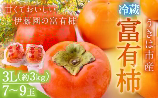 【先行予約】伊藤園 冷蔵富有柿 (3Lサイズ) 7玉から9玉 約3kg 【2025年12月中旬から12月下旬出荷予定】 / 富有柿 柿 果物 フルーツ くだもの うきは市福岡県うきは市15000果物・フルーツその