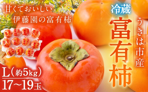 【先行予約】伊藤園 冷蔵富有柿 (Lサイズ) 17玉〜19玉 約5kg 【2025年12月中旬から12月下旬出荷予定】 / 富有柿 柿 果物 フルーツ くだもの うきは市福岡県うきは市14000果物・フルーツその他