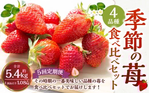 【5回定期便】よかもんいちご 4品種食べ比べセット 【2025年12月上旬から2026年4月下旬 毎月出荷予定】 いちご 苺 イチゴ 旬 フルーツ 果物 くだもの 果実 冷蔵 福岡県 うきは市福岡県うきは市