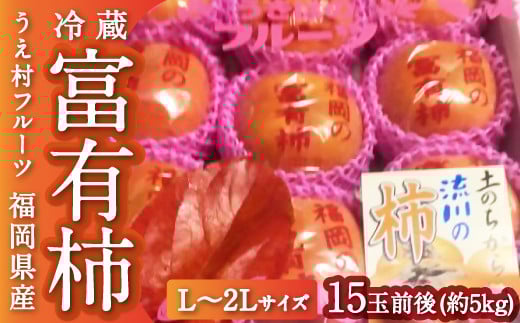 【先行予約】うえ村フルーツ 冷蔵富有柿 Lから2Lサイズ 15玉前後 (約5kg) 2025年12月中旬から12月下旬 出荷予定福岡県うきは市17000果物・フルーツその他 果物・フルーツ