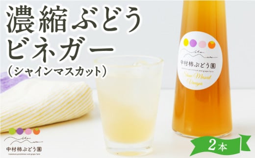 中村柿ぶどう園 濃縮ぶどうビネガー (シャインマスカット) 300ml×2本 フルーツビネガー 果実酢 フルーツ酢 お酢 酢 ビネガー 濃縮タイプ 飲料 福岡県 うきは市福岡県うきは市12000調味料・油