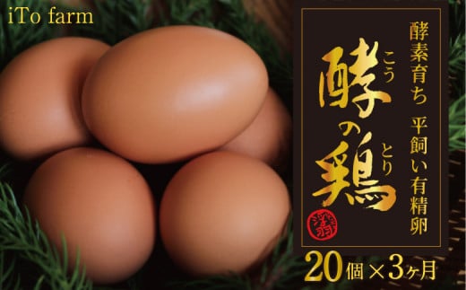 【3ヶ月定期便】iTo farm 酵の鶏 20個×3ヶ月お届け  鶏の卵 たまご 卵 玉子 タマゴ 鶏卵 オムレツ 卵かけご飯 朝食 料理 たまご焼き 福岡県 うきは市福岡県うきは市40000卵・乳製品卵(鶏、烏骨