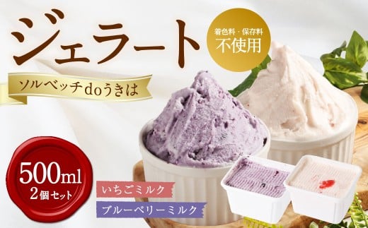 ソルベッチdoうきは ジェラート500ml×2個セット フルーツ ミルク スイーツ デザート ジェラート シャーベット アイス いちごミルク ブルーベリーミルク セット 冷凍 福岡県 うきは市福岡県う