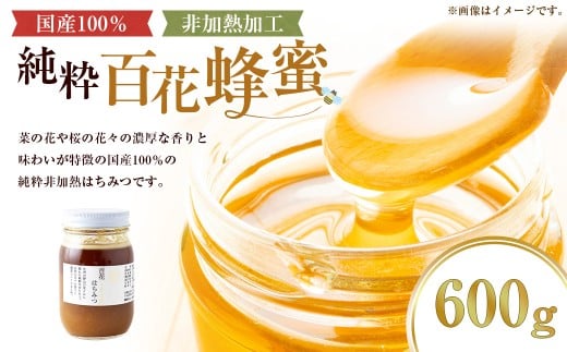 上村養蜂場 国産100%純粋百花蜂蜜 大瓶 600g福岡県うきは市20000鍋セット・総菜・加工食品ジャム・はちみつ