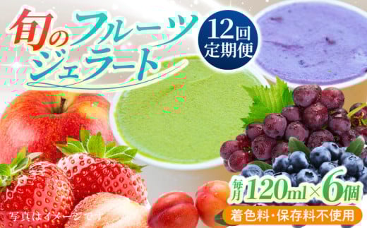 【12回定期便】果樹園が作る 素材の味を楽しめる 旬のジェラート 120ml×6個セット【ソルベッチdoうきは】着色料不使用 ノンホモ牛乳使用 ジェラート アイス 旬 スイーツ 詰め合わせ セット
