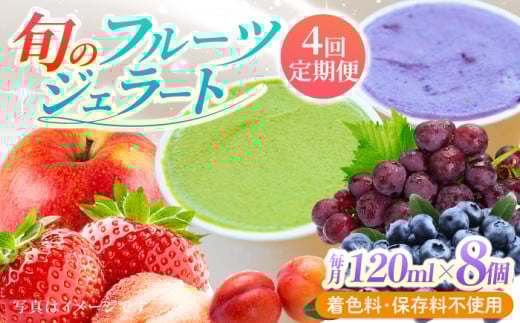 【年4回定期便】ソルベッチdoうきは ジェラート120ml×8個セット【ソルベッチdoうきは】着色料不使用 ノンホモ牛乳使用 ジェラート アイス 旬 スイーツ 詰め合わせ セット シャーベット ミル