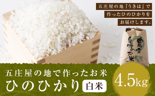 【特Aランク米】五庄屋の地で作ったお米 ひのひかり 白米 (4.5kg) 【2025年10月下旬より順次発送予定】 ヒノヒカリ こめ コメ ごはん ご飯 福岡県うきは市産 九州産福岡県うきは市24000米・パン