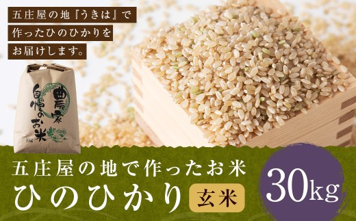 【特Aランク米】五庄屋の地で作ったお米 ひのひかり 玄米 (30kg) 【2025年10月下旬より順次発送予定】 ヒノヒカリ こめ コメ ごはん ご飯 福岡県うきは市産 九州産福岡県うきは市134000米・パン