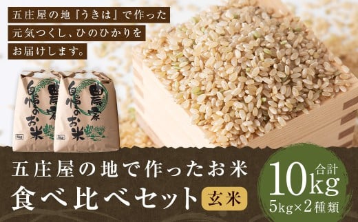 【特Aランク米】五庄屋の地で作ったお米 食べ比べセット 玄米 (元気つくし 5kg・ひのひかり 5kg) 計10kg 【2025年10月下旬より順次発送予定】 ヒノヒカリ こめ コメ ごはん ご飯 福岡県うきは市