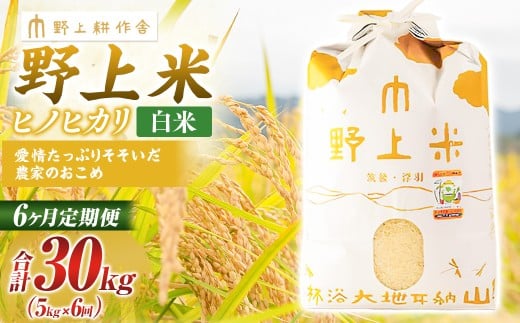 【6か月定期便】 白米 野上米 5s×6回 計30kg 【2025年10月下旬より発送予定】 ヒノヒカリ 米 こめ コメ お米 常温 国産福岡県うきは市100000米・パン白米