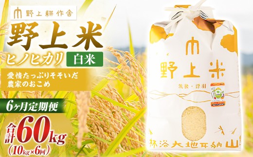 【6か月定期便】 白米 野上米 10s×6回 計60kg 【2025年10月下旬より発送予定】 ヒノヒカリ 米 こめ コメ お米 常温 国産福岡県うきは市182000米・パン白米