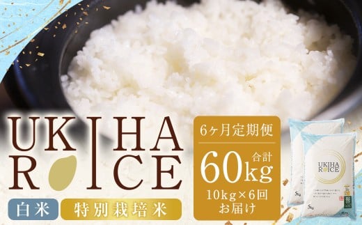 【6ヶ月定期便】 みずほファーム UKIHA RICE 白米10kg?6回 (特別栽培米) 計60kg 【2025年12月上旬〜2026年7月下旬発送予定】 ヒノヒカリ ひのひかり 米 こめ コメ お米 おこめ 白米 精米 ごはん ご