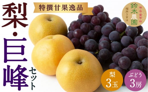 【先行予約】 鈴木農園 特撰甘果逸品 梨 ・ 巨峰 セット (3玉・3房) 【2026年8月下旬〜9月上旬より順次発送予定】 完熟梨 なし ナシ 葡萄 ぶどう ブドウ 果物 くだもの フルーツ 果実 新鮮