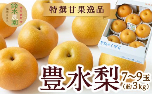 【先行予約】 鈴木農園 特撰甘果逸品 豊水梨 7玉から9玉 (約3kg) 【2026年8月下旬から9月上旬より順次発送予定】 完熟梨 梨 なし ナシ 豊水 ほうすい 果物 くだもの フルーツ 果実 新鮮 フレ