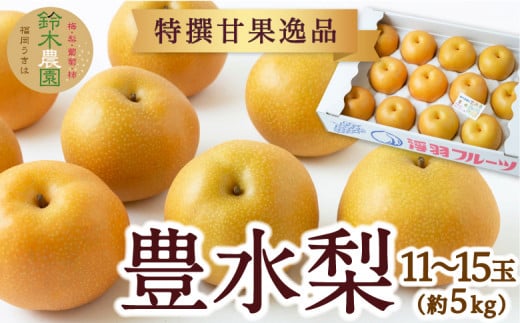 【先行予約】 鈴木農園 特撰甘果逸品 豊水梨 11玉から15玉 (約5kg) 【2026年8月下旬〜9月上旬より順次発送予定】 完熟梨 梨 なし ナシ 豊水 ほうすい 果物 くだもの フルーツ 果実 新鮮 フレ