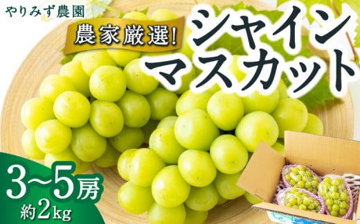 【先行予約】 やりみず農園 農家厳選! シャインマスカット 3房から5房 (約2kg) 【2026年8月下旬〜9月上旬より順次発送予定】 葡萄 ぶどう ブドウ 種無し 種なし 果物 くだもの フルーツ 果