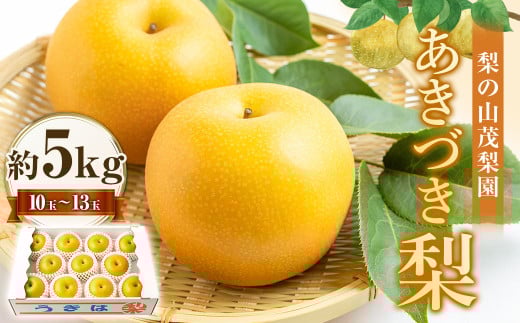 【先行予約】 梨の山茂梨園 あきづき梨 10玉から13玉 (約5kg) 【2026年9月上旬〜9月上旬より順次発送予定】 梨 なし ナシ 秋月 あきづき 果物 くだもの フルーツ 果実 新鮮 フレッシュ ジュー