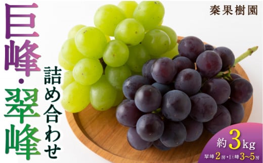 【先行予約】 秦果樹園 巨峰 ・ 翠峰 詰め合わせ 約3kg (巨峰 3から5房・翠峰 2房) 【2026年8月下旬〜9月上旬より順次発送予定】 葡萄 ぶどう ブドウ 種無し 種なし 果物 くだもの フルーツ