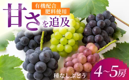 ys\zL@z엿gp Ȃ nEXԂǂ 4`5[ v~AZbg y2026N7{菇\z ytz Ԃǂ uhE  ʕ t[c lߍ킹  