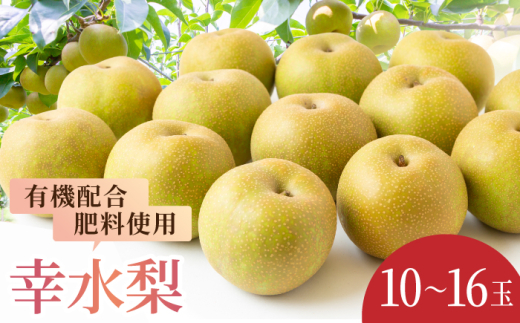 【先行予約】有機配合肥料使用 幸水梨 10〜16玉 (約5kg) 【2026年7月下旬〜8月上旬より順次発送予定】 【春光園】 梨 なし 果物 フルーツ 幸水 こうすい 果実 福岡県 うきは市 常温福岡県う