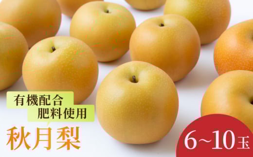 【先行予約】有機配合肥料使用 秋月梨 6〜10玉 (約3kg) 【2026年8月下旬〜9月上旬より順次発送予定】 【春光園】 梨 なし 果物 フルーツ 秋月 あきづき 果実 福岡県 うきは市 常温福岡県うき