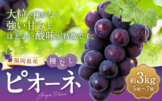 ys\z ʔ_ sI[l 5[`7[ i3kgj y2026N8{`9{菇\z  Ԃǂ uhE 嗱 햳 Ȃ ʕ  t[c ʎ   