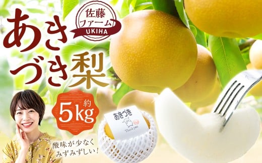 ys\z t@[ Â 8ʁ`13 i5kgj y2026N9{菇\z  Ȃ iV H Â ʕ  t[c ʎ VN tbV W[V[ 