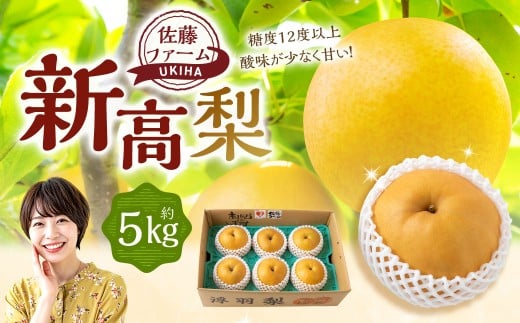 ys\z t@[ V 5ʁ`8 i5kgj y2026N9{`10{菇\z  Ȃ iV V ɂ  ʕ  t[c ʎ W[V[  