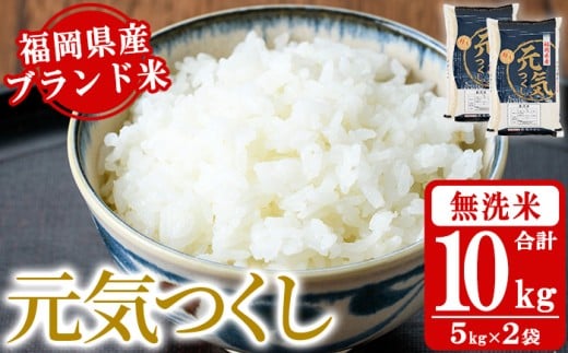 《無洗米》福岡県産ブランド米「元気つくし」(計10kg・5kg×2袋) 無洗米 米 お米 おこめ ごはん げんきつくし ご飯 常温 福岡県産 ブランド米 常温 常温保存 おにぎり おむすび お弁当 ライス