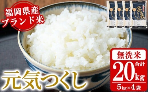 sātYuhāuCv(v20kgE5kg×4)     ͂ 񂫂  퉷 Y uh 퉷 퉷ۑ ɂ ނ ٓ CX