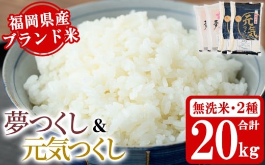 《無洗米》福岡県産米食べ比べセット「夢つくし」と「元気つくし」(2種計20kg・各5kg×2袋) 無洗米 米 お米 おこめ ごはん ご飯 常温 福岡県産 ブランド米 ゆめつくし げんきつくし 常温 常温