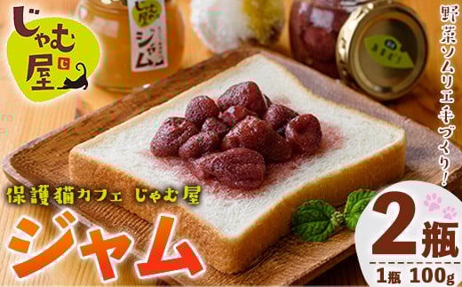 じゃむ屋のジャム詰め合わせギフトセット (2瓶) ジャム じゃむ 加工品 フルーツ 果物 果実 詰め合わせ 野菜 セット ギフト 贈答用 プレゼント 贈り物 食べ比べ お楽しみ 手づくり 手作り 朝
