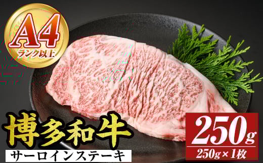 【A4〜A5】博多和牛サーロインステーキセット(250g×1枚) 国産 九州産 福岡県産 牛肉 和牛 黒毛和牛 ステーキ お肉【MEAT PLUS】as08-004福岡県芦屋町11000肉牛肉