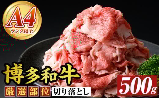 博多和牛切り落とし(500g) 国産 九州産 福岡県産 牛肉 和牛 黒毛和牛 お肉【MEAT PLUS】as08-061福岡県芦屋町10000肉牛肉