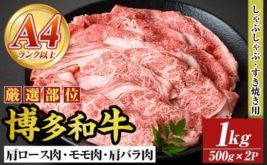 yA4`A5zaԂԂĂp(v1kgE500g×2P) Y BY Y  a јa ₫ XLL  [X o yMEAT PLUSzas08-04019000
