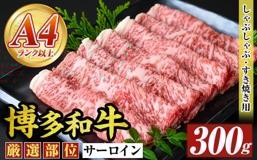 yIʁzyA4`A5zaT[CԂԂĂp(300g) Y BY Y  a јa VuVu XLL ₫ yMEAT PLUSzas08-01311000