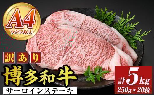 AyA4`A5zaT[CXe[L(v5kgE250g×20) Y BY Y  a јa Xe[L yMEAT PLUSzas08-020150000