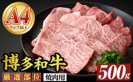 yA4`A5zaēp(500g) Y BY Y  a јa ₫ɂ yMEAT PLUSzas08-00113000