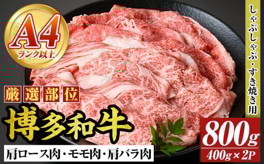 yA4`A5zaԂĂp([XEoE)(v800gE400g×2P) Y BY Y  a јa ₫ XLL yMEAT PLUSzas08-05616000
