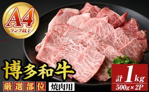 【A4〜A5】博多和牛焼肉用(計1kg・500g×2P) 国産 九州産 福岡県産 牛肉 和牛 黒毛和牛 やきにく お肉【MEAT PLUS】as08-057福岡県芦屋町23000肉牛肉