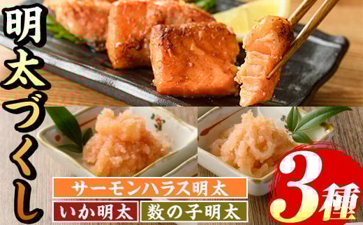 ご飯のお供!明太づくしBセット(3種・数の子明太子/いか明太子/サーモンハラス明太漬) 明太 明太子 めんたい めんたいこ 海鮮 魚介 魚卵 かずのこ 数の子 いか イカ サーモン さけ サケ しゃ