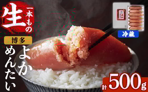 ≪無冷凍≫辛子明太子 博多よかめんたい 生 1本もの(計500g) めんたいこ からしめんたいこ 真子 海鮮 おかず 冷蔵 贈答用 贈り物 ギフト【富八商店】as41-014福岡県芦屋町24000魚介・海産物明太