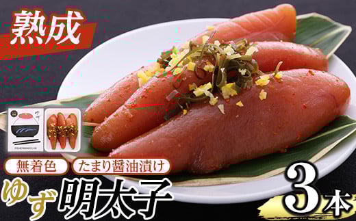 n ܂ݖЂ F 䂸q(3{E210g) q  ߂񂽂 ߂񂽂 炱 ^R  CN  Mq 䂸 ①ytBbV[}YNuzas42-00510000