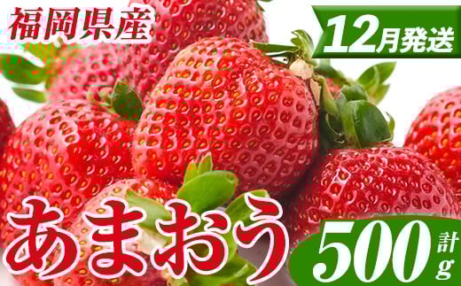 <先行予約受付中!2025年12月以降順次発送予定> 福岡県産 あまおう (計500g・250g×2パック) いちご イチゴ 苺 ストロベリー 果物 フルーツ おやつ デザート スイーツ 福岡県 小分け アマオウ 1