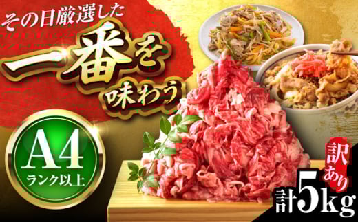 a ؂藎Ƃ 5kg (500g×10pbN) gx/MEAT PLUS [BGAB040]   ؂藎Ƃ  󂠂 킯   肨Ƃ Y Y lC  gx60000